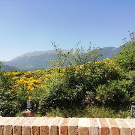 萨尔纳诺Luci Sui Monti住宿加早餐旅馆 外观 照片