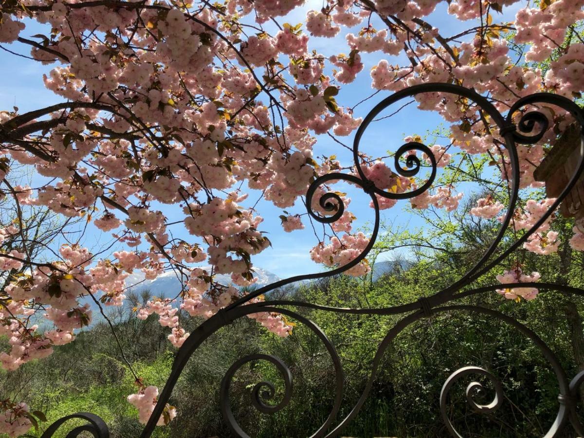 萨尔纳诺Luci Sui Monti住宿加早餐旅馆 外观 照片